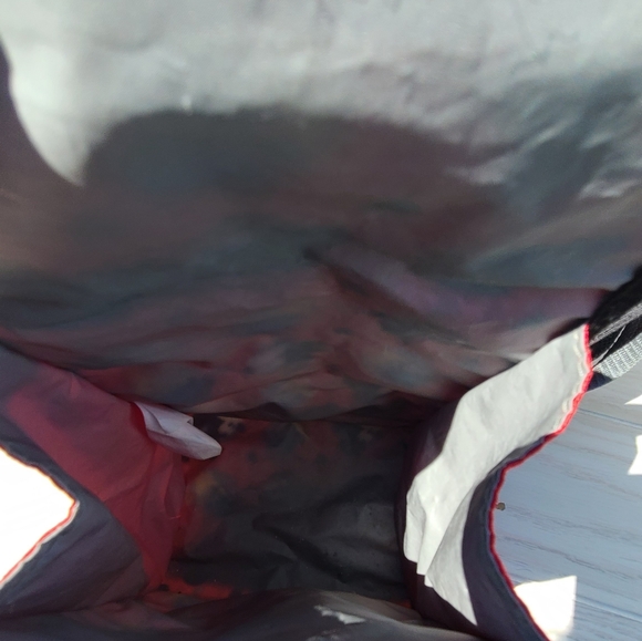 Mickey Mouse And Donald Duck Backpack With Lunchbox Canvas - Picture 5 of 9